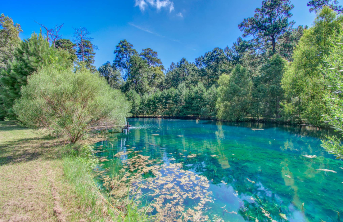 23478 Highway 146 N Cleveland TX 77372 Pond Listed by Steve Kinney REALTOR Red Hawk Property Team JLA Realty